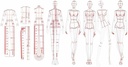 Fashion Drawing Template Ruler Set
