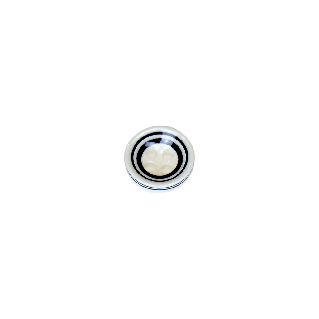 Glossy Finish Double Outline Button