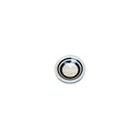 Glossy Finish Double Outline Button