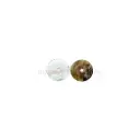 Agoya China Sequence Shell Button