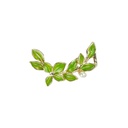 Vintage Coro Enamel Floral Pendant