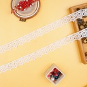 One Side Border Organza Lace