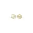 Natural River Star-Shaped Hanging Shell Button