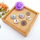 Beautiful Iridescent Abalone 2 Hole Shell Button