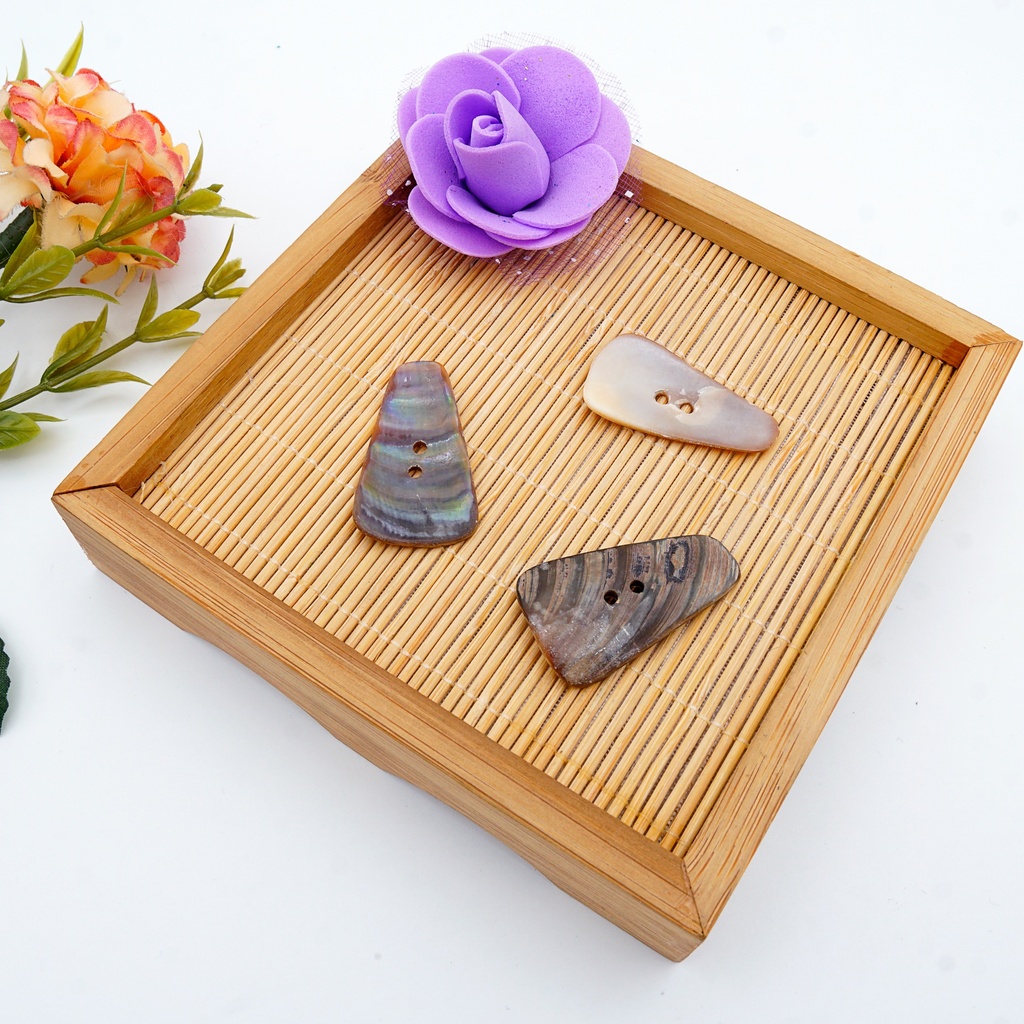 Iridescent Toggle Mussel Shell Button