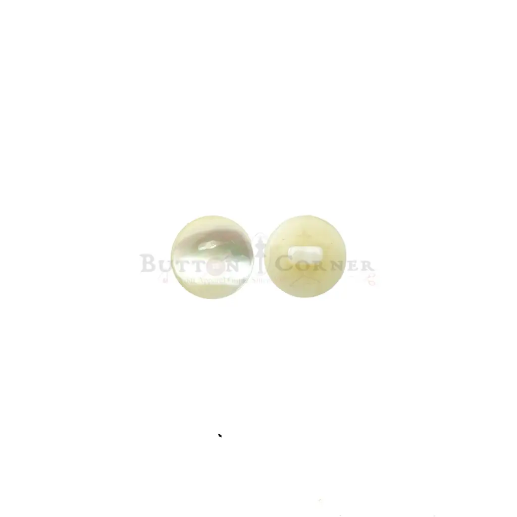 Mother-of-Pearl Shank Shell Button