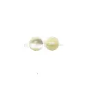 Mother-of-Pearl Shank Shell Button