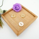Flat Mother-of-Pearl Round Shape 2 Hole Shell Button