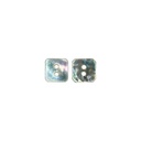 Grey Abalone 2 Hole Shell Button In Square Shape