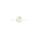 Flat Natural River Sequence Shell Button