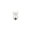 Enamel Tooth Brooch With Diamond