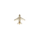 Aircraft Aeroplane Brooch