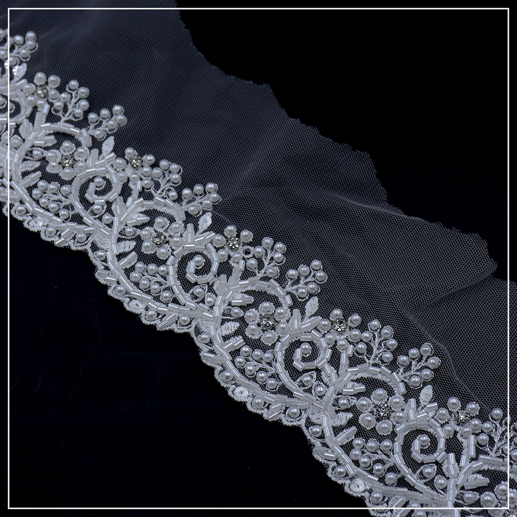 Fancy Glass Beads Net Lace