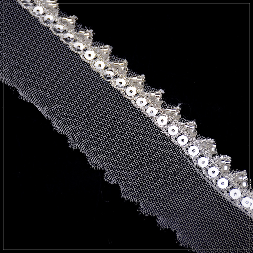 Fancy Glass Beads Net Lace