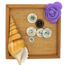 Round 2 Hole Artifical Shell Button