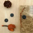 Paint Coated Matt Finish 4 Hole Shirt Button