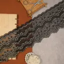 Shuttle Zari Net Lace