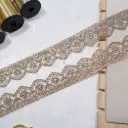 Fancy Metallic Yarn Sequence Lace