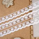 One Side Border Net Scallop Lace