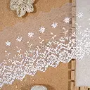 One Side Border Net Lace