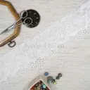 Embroidery Thread, Sequence, Organza Lace 
