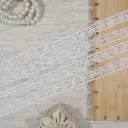 One Side Border Organza Sequence Lace