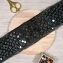 Sparkle Embroidery Mirror, Fancy Net Lace