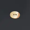 Oval Shape Two-Hole Japanese Shell Button