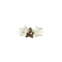 Agoya China Star Shape 2 Hole Shell Button