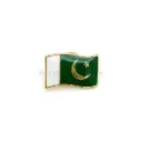 Waving National Flag of Pakistan, Lapel Pin