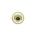 Light Gold Plated Heraldic Crest Coat of Arms Shield, Suiting Button