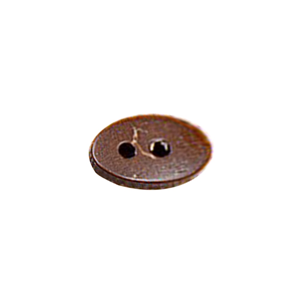 Oval Shape 2 Hole Coconut Button