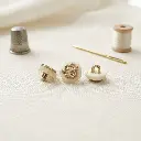 2 Lion Crest Design Plastic Shank Button