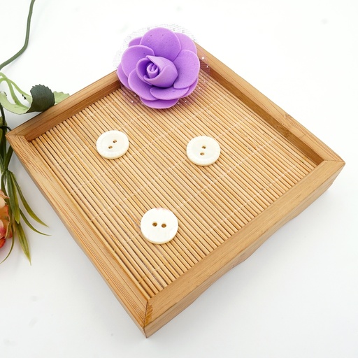 [LCSR2H-24L] Mother Of Pearl Laser Cut Round Shell Button