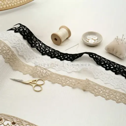 One Side Border Organza Lace