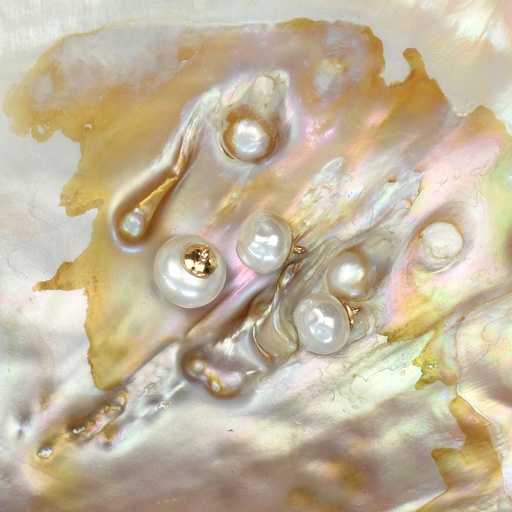 Round Original Pearl Shape Button