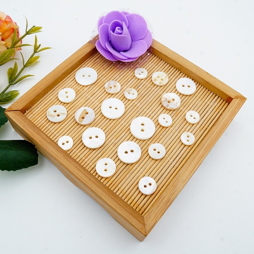 Flat Natural River Shell 2 Hole Button