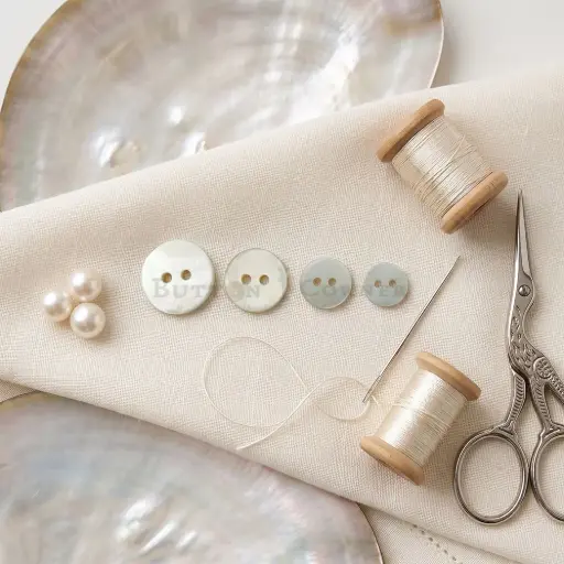 Flat Natural River Shell 2 Hole Button