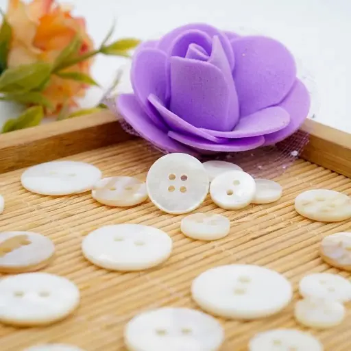 Flat Natural River Shell 2 Hole Button