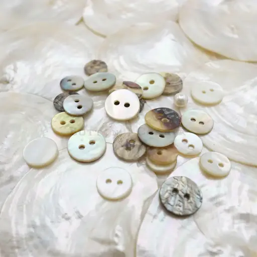 Plain China Agoya 2 Hole Shell Button