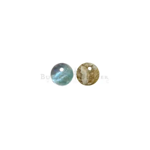 [AGCHRSH-18L] Agoya China Round Shape Hanging Shell Button