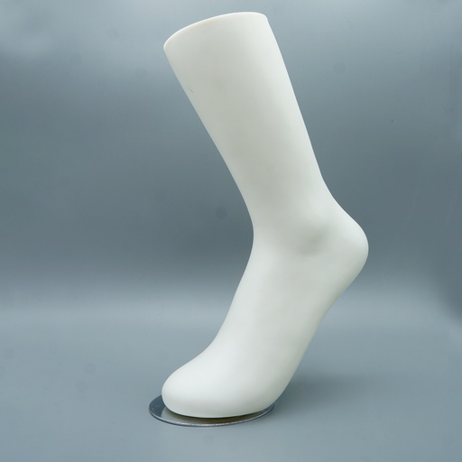 Sock Foot Display Model