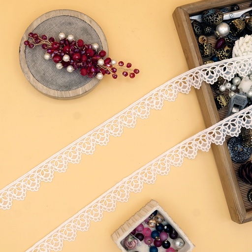 One Side Border Organza Lace