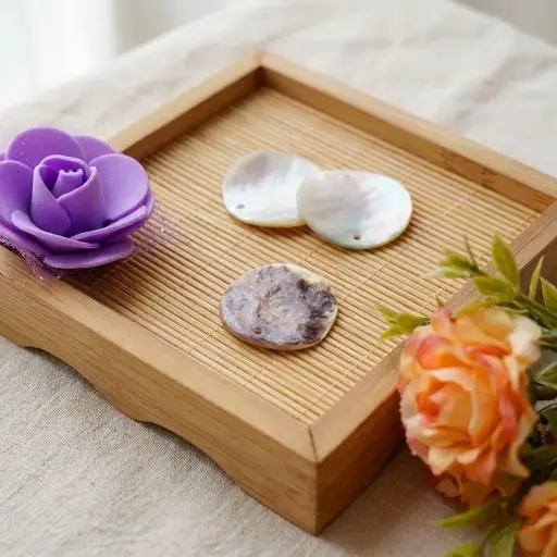 [AGJPR2SH40] Agoya Japan Round Shape 2 Wide Hole Shell Button
