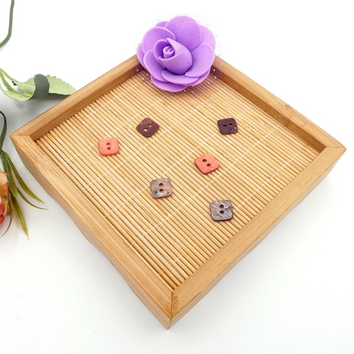 Agoya Japan in Coloured Square Shape 2 Hole Shell Button
