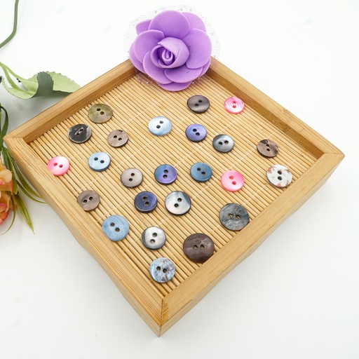 Mother-of-Pearl Coloured Round Shape 2 Hole Shell Button