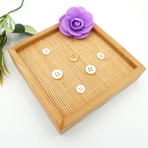 Mother-of-Pearl Flat Round Shape 4 Hole Shell Button