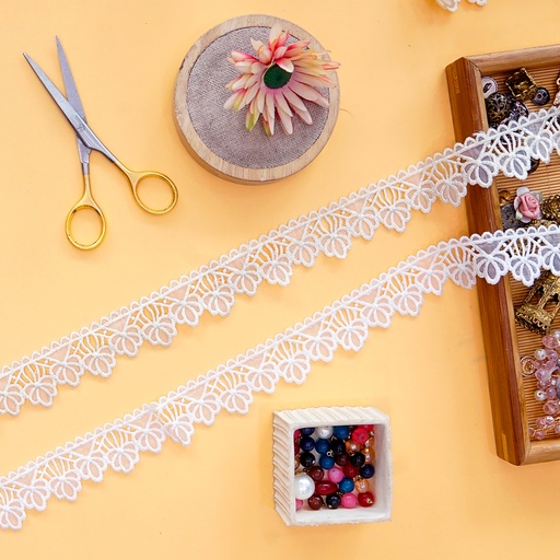 One Side Border Organza Lace