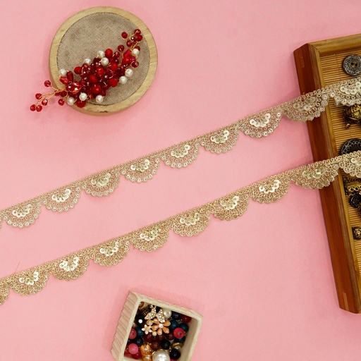 Fancy Metallic Yarn Sequence Lace