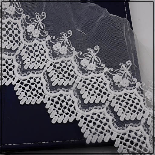 One Side Border Net Lace